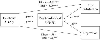 The mediating effect of problem-focused coping on the relationship between emotional clarity and mental health among older adults